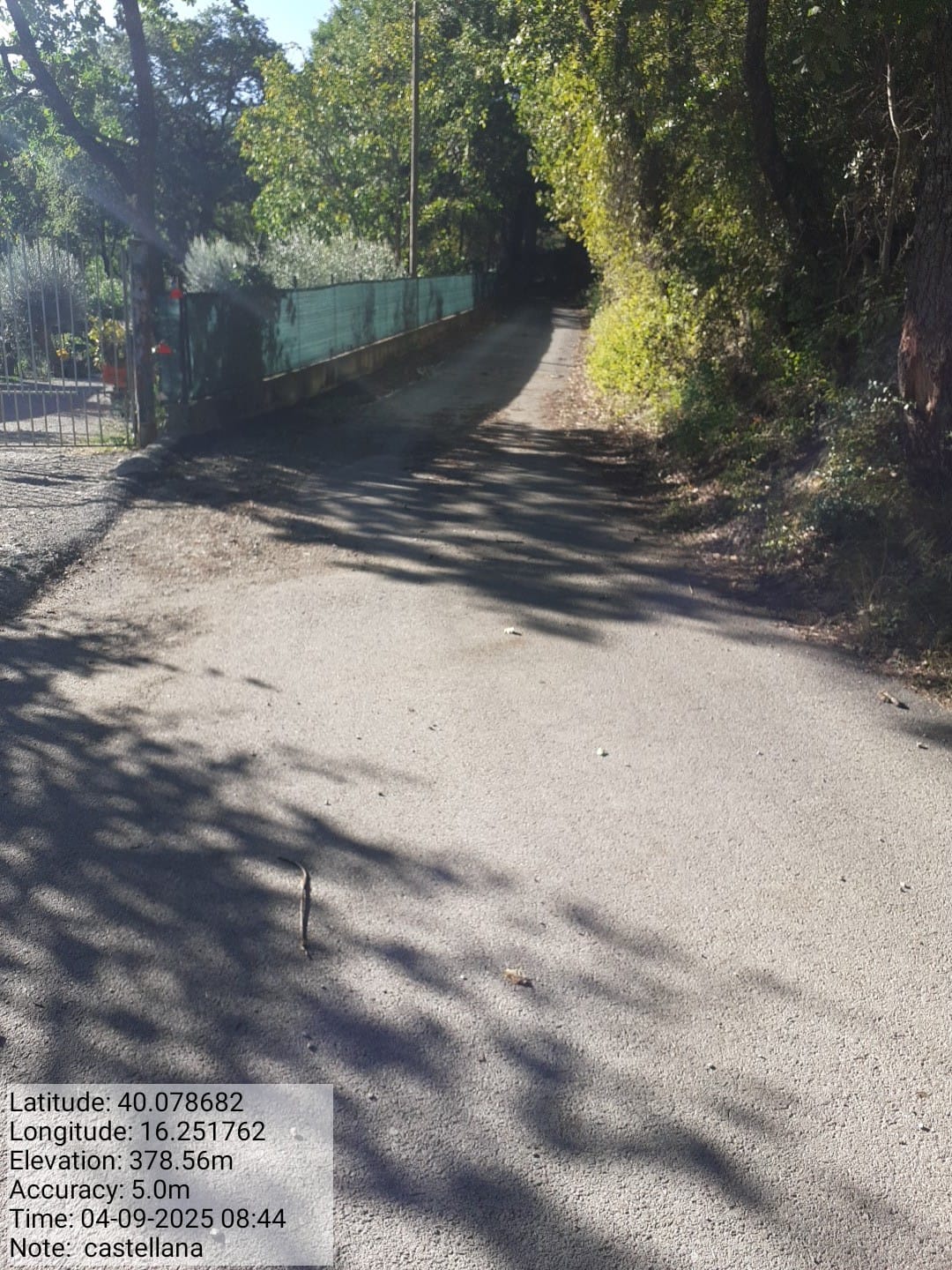 Galleria Fotografica Immagine