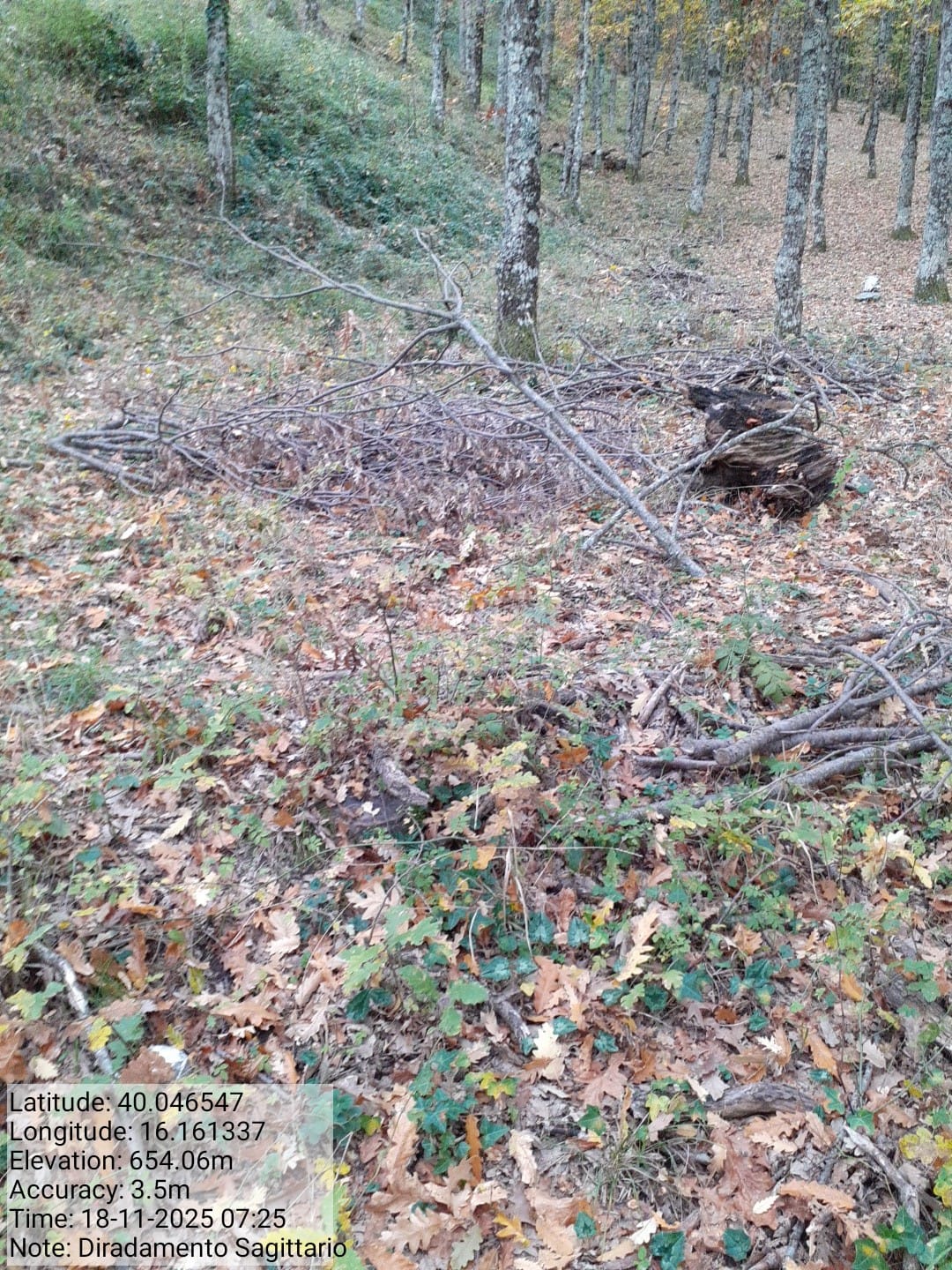 Galleria Fotografica Immagine