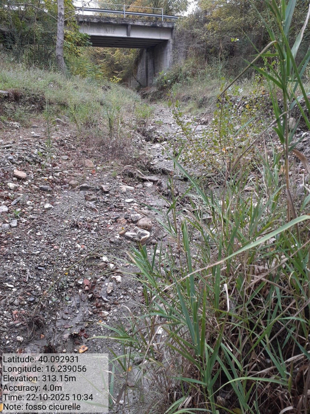 Galleria Fotografica Immagine