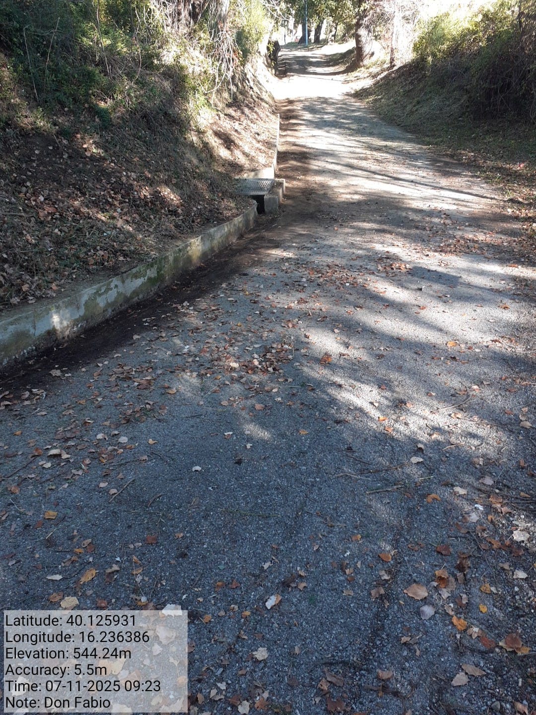 Galleria Fotografica Immagine