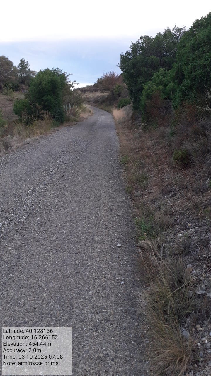 Galleria Fotografica Immagine