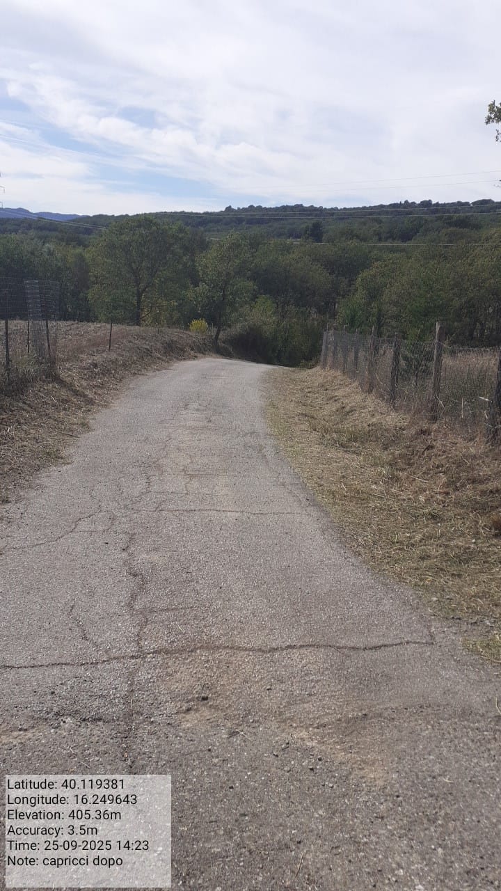 Galleria Fotografica Immagine