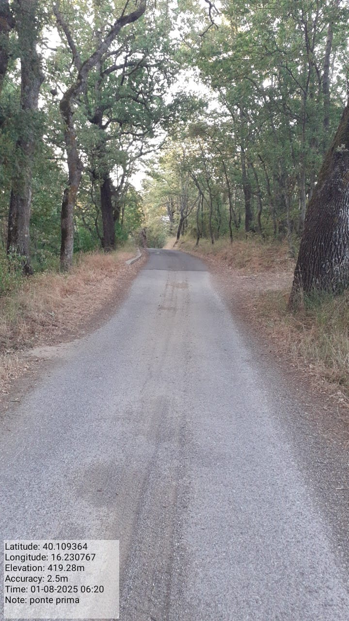 Galleria Fotografica Immagine