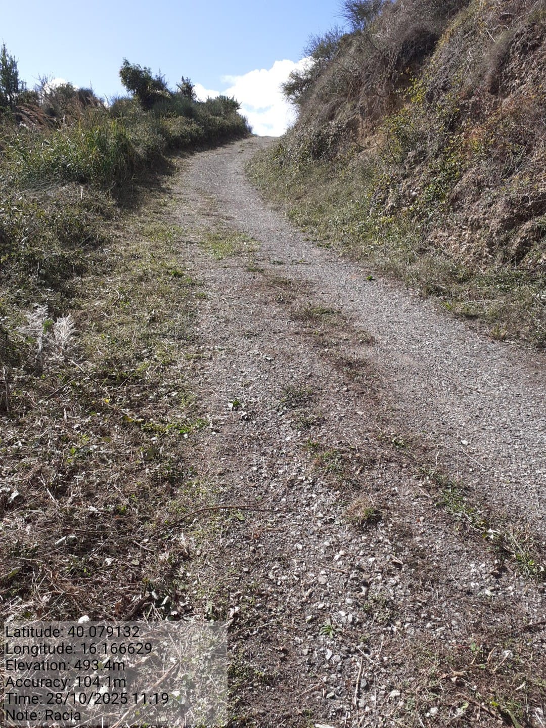 Galleria Fotografica Immagine