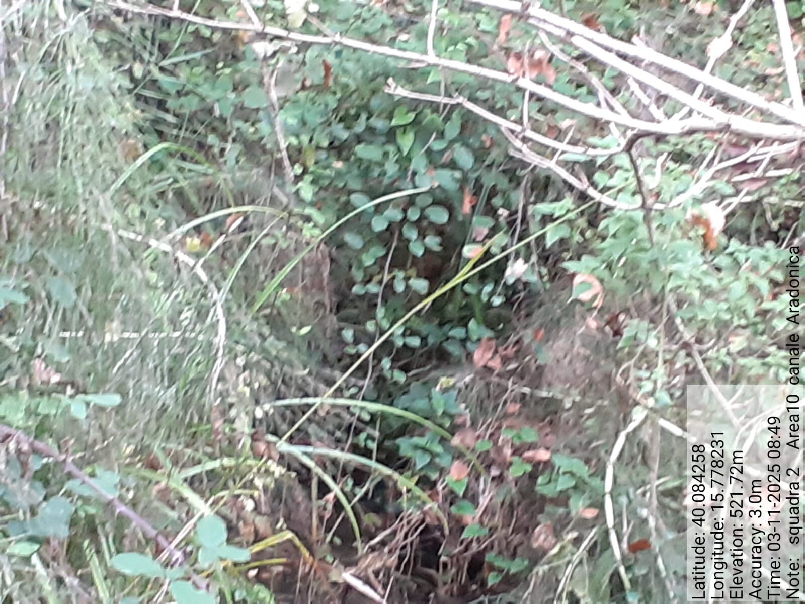 Galleria Fotografica Immagine