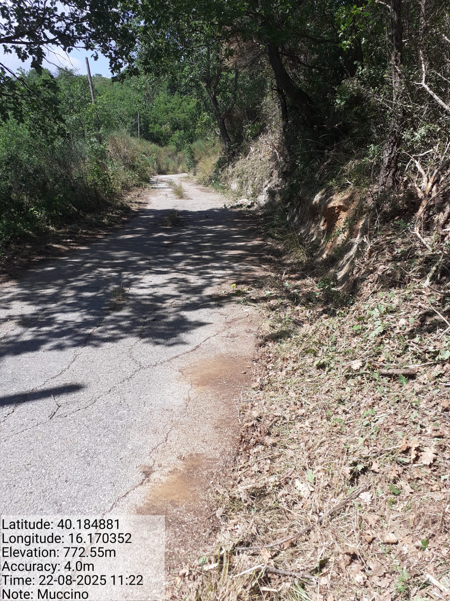 Galleria Fotografica Immagine