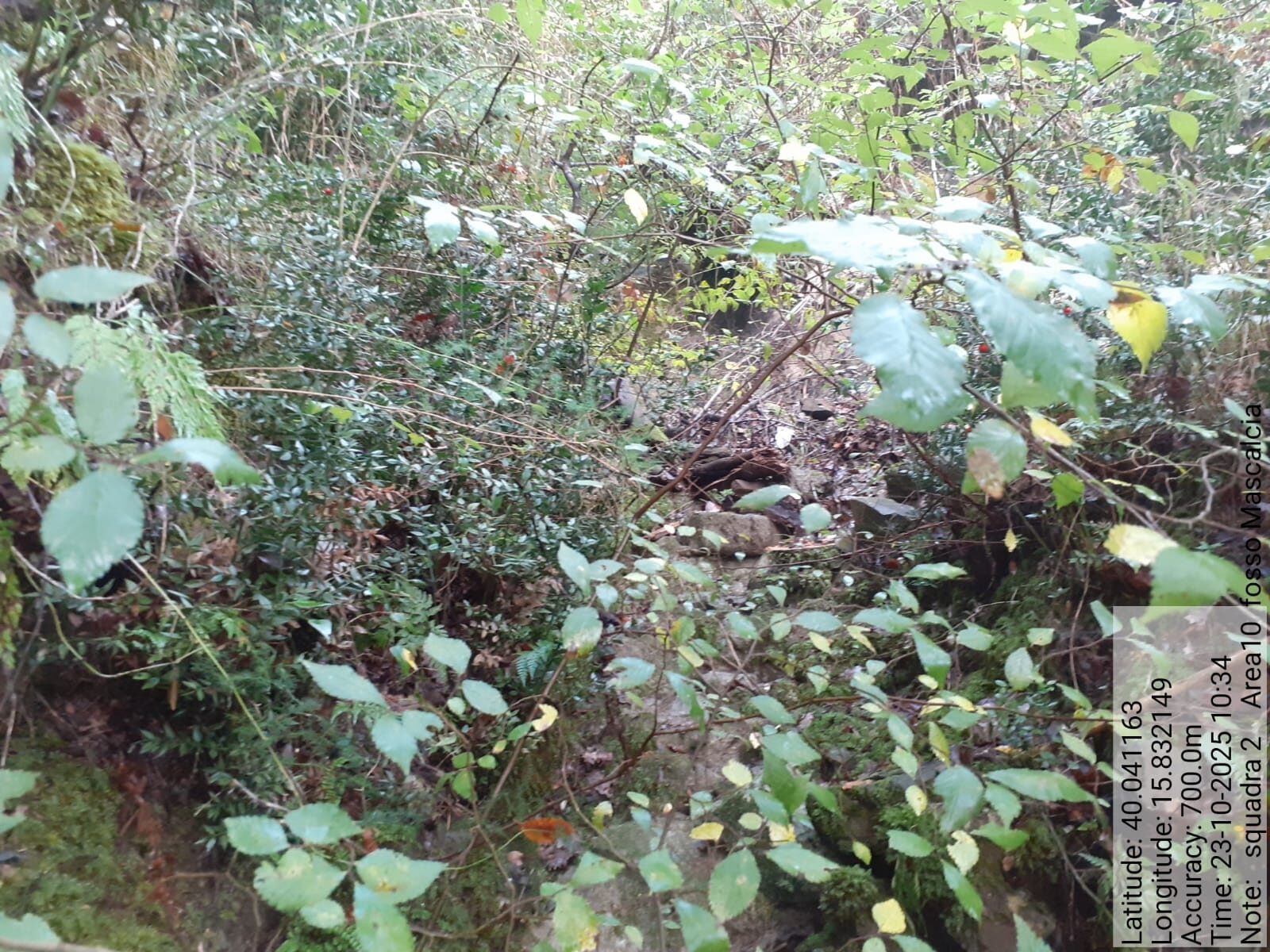 Galleria Fotografica Immagine