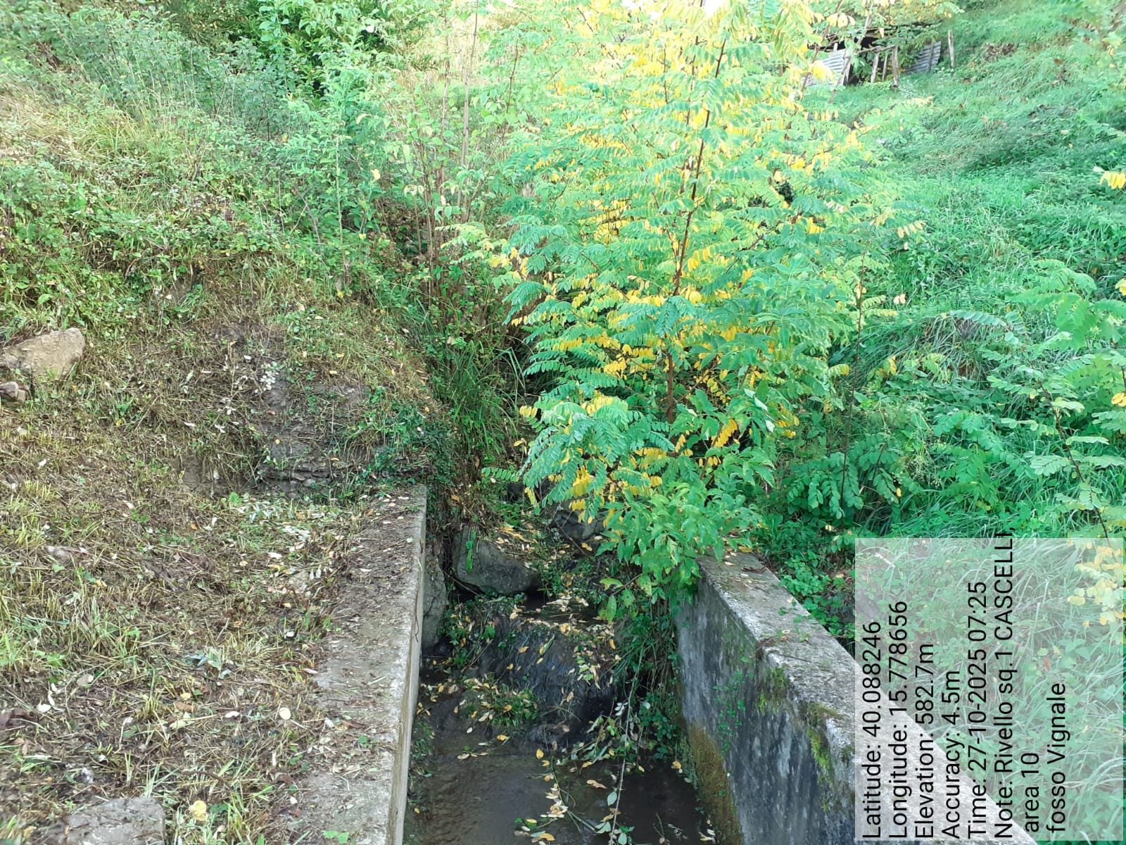 Galleria Fotografica Immagine