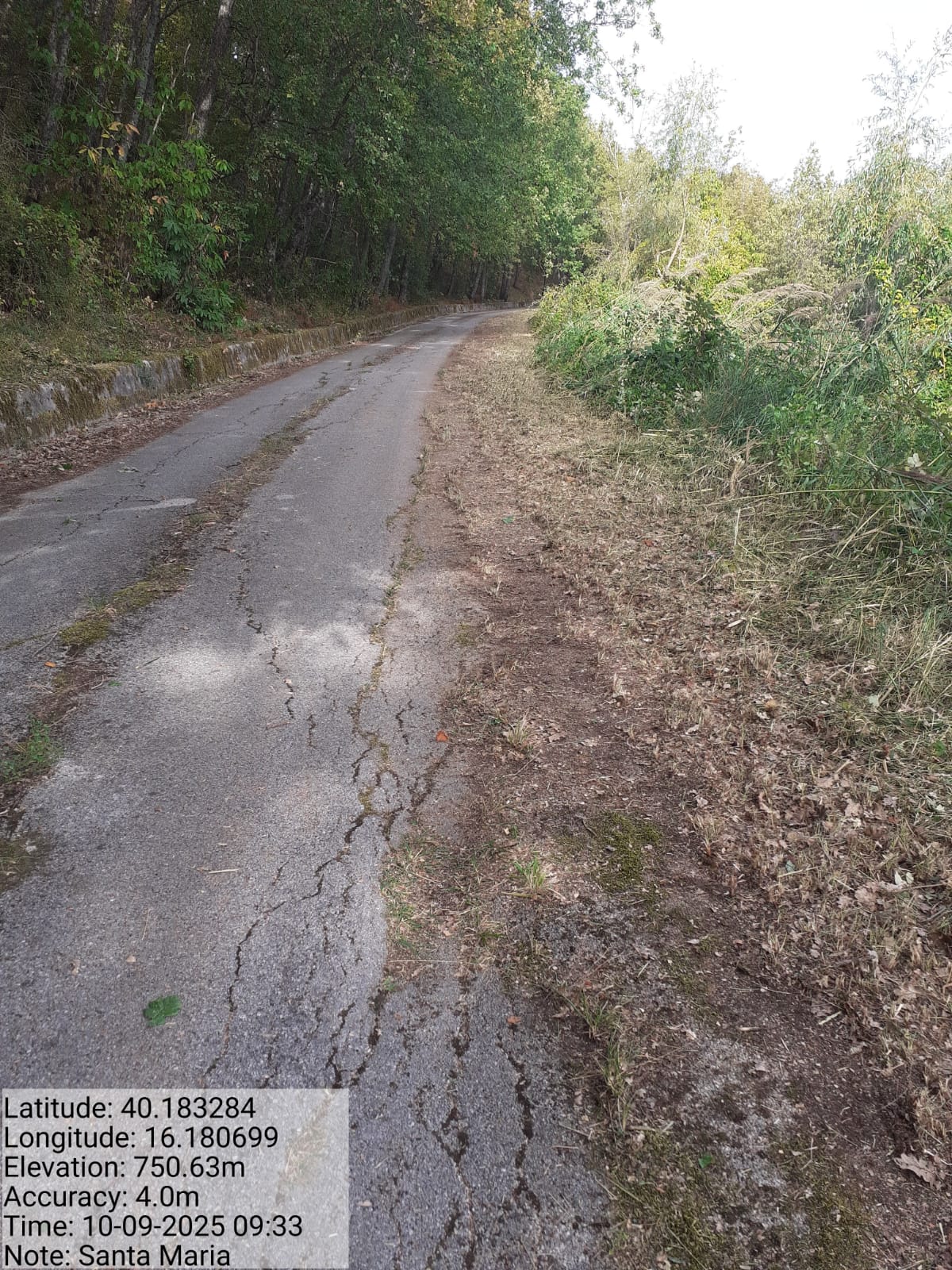 Galleria Fotografica Immagine