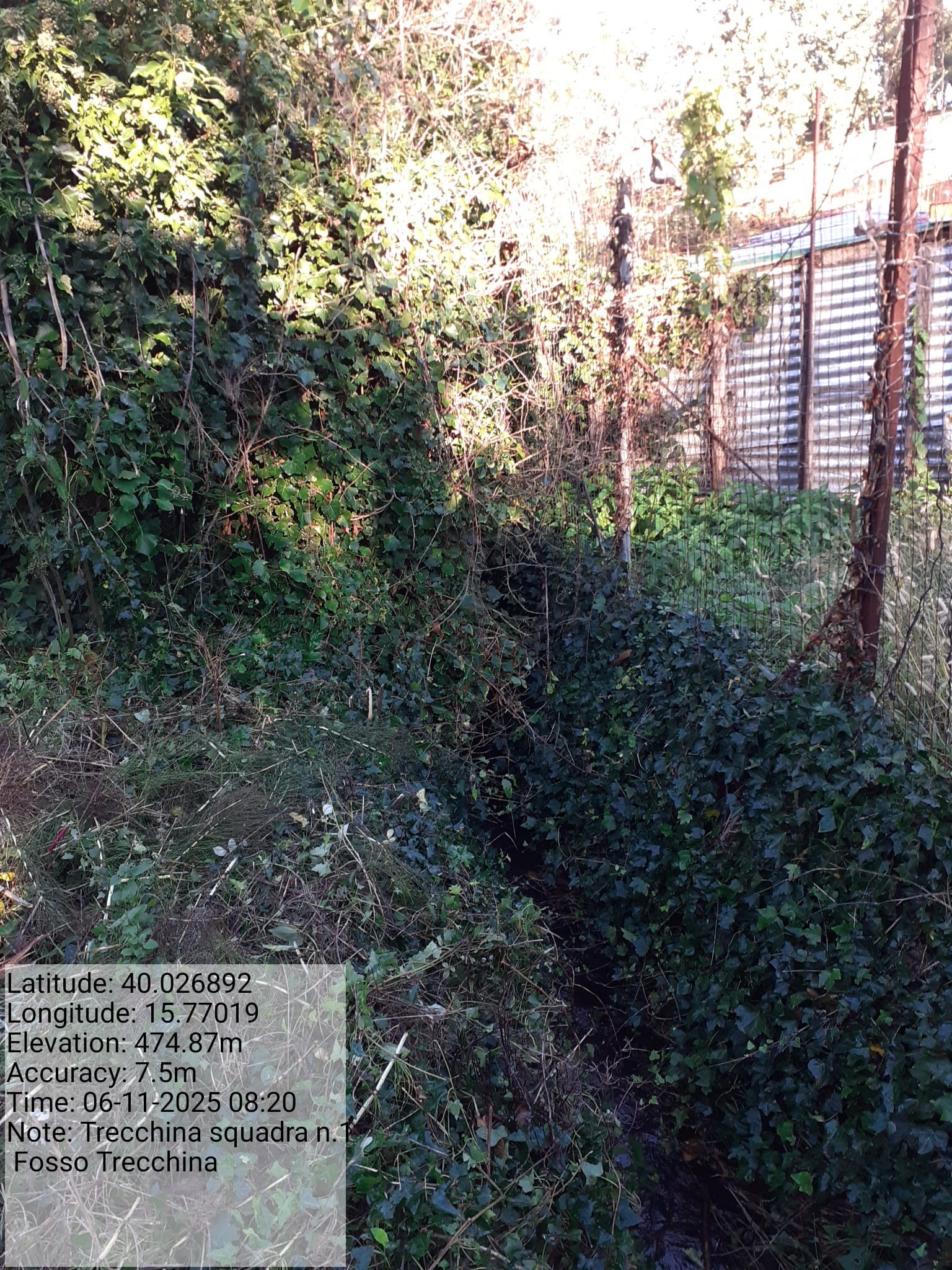 Galleria Fotografica Immagine