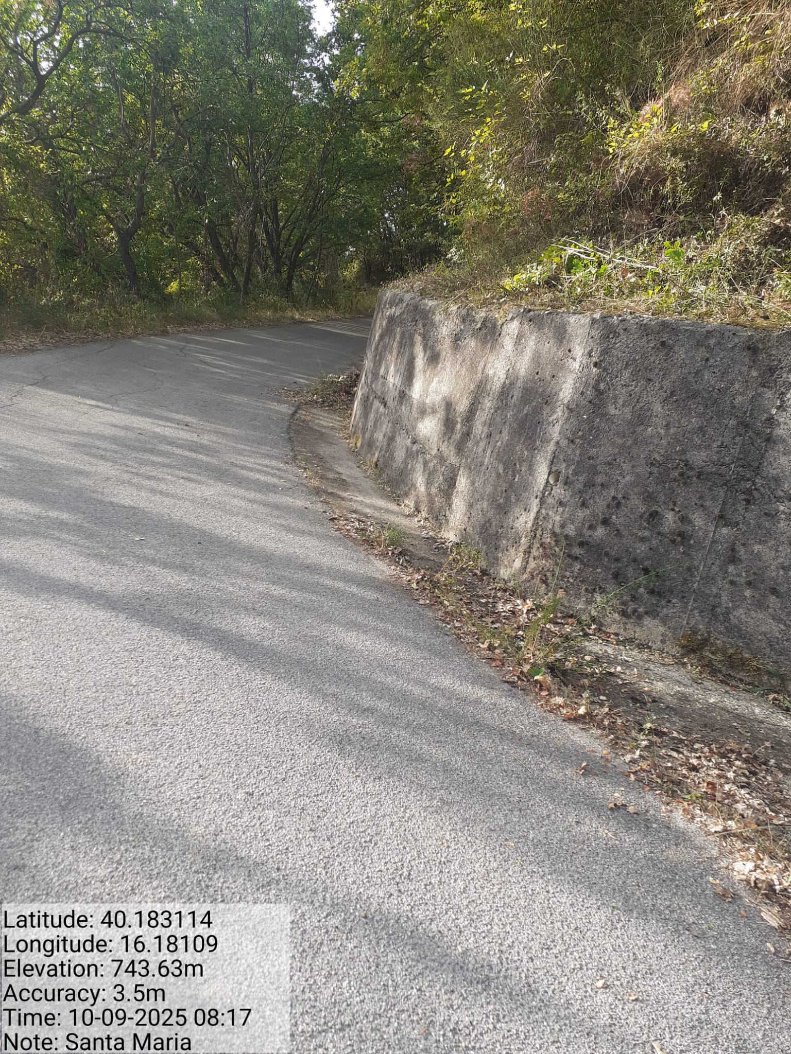 Galleria Fotografica Immagine