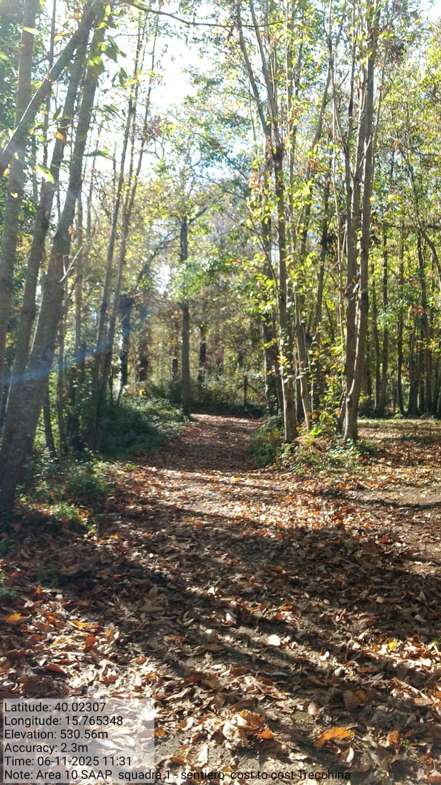 Galleria Fotografica Immagine