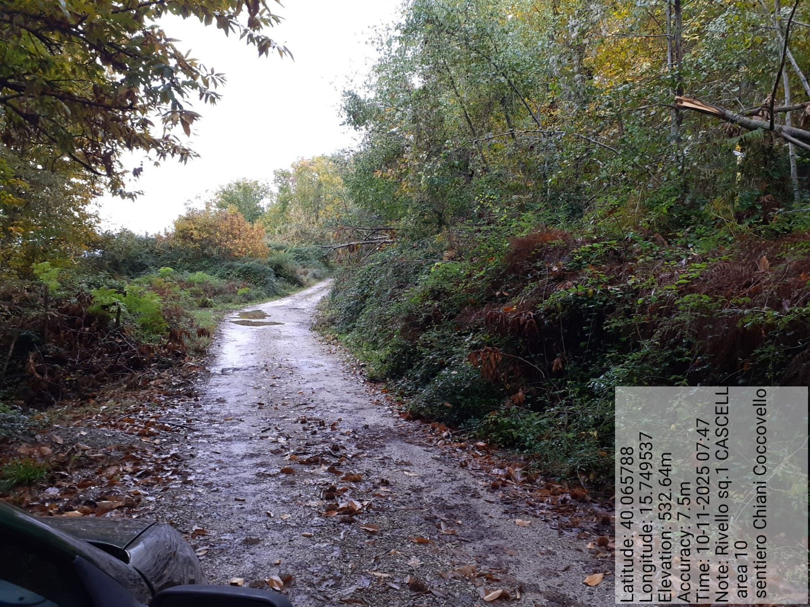 Galleria Fotografica Immagine