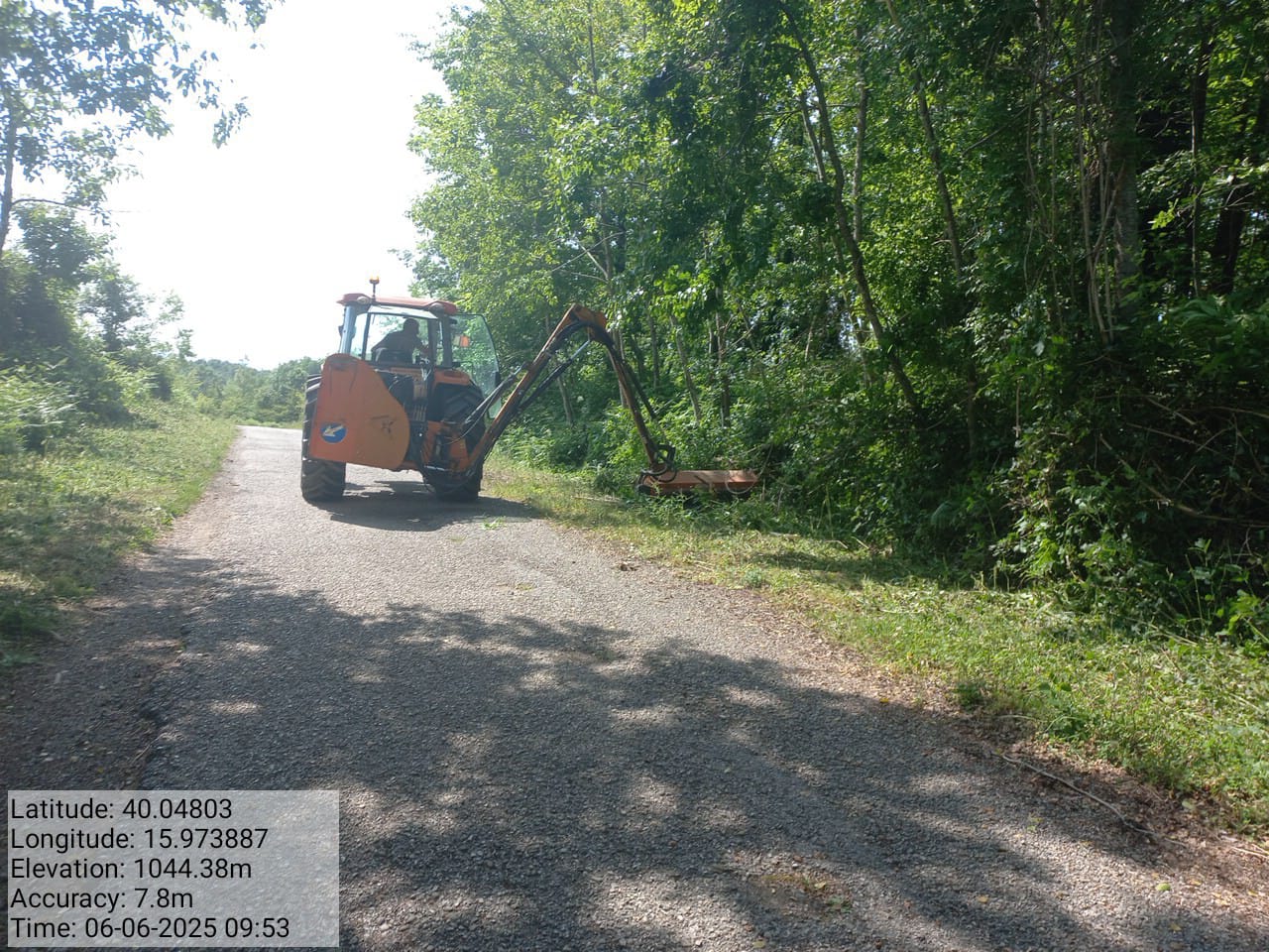 Galleria Fotografica Immagine