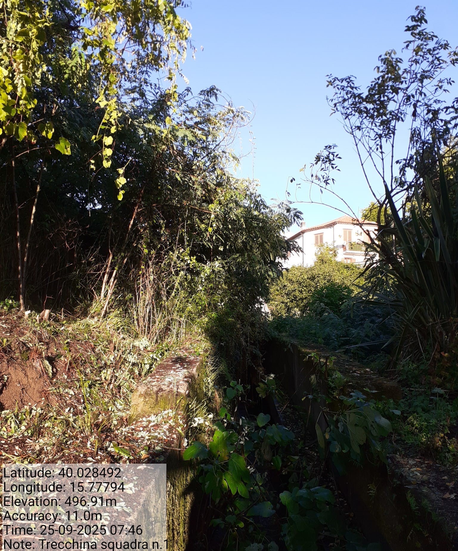 Galleria Fotografica Immagine