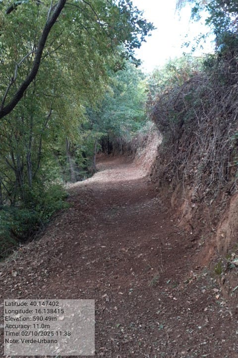 Galleria Fotografica Immagine