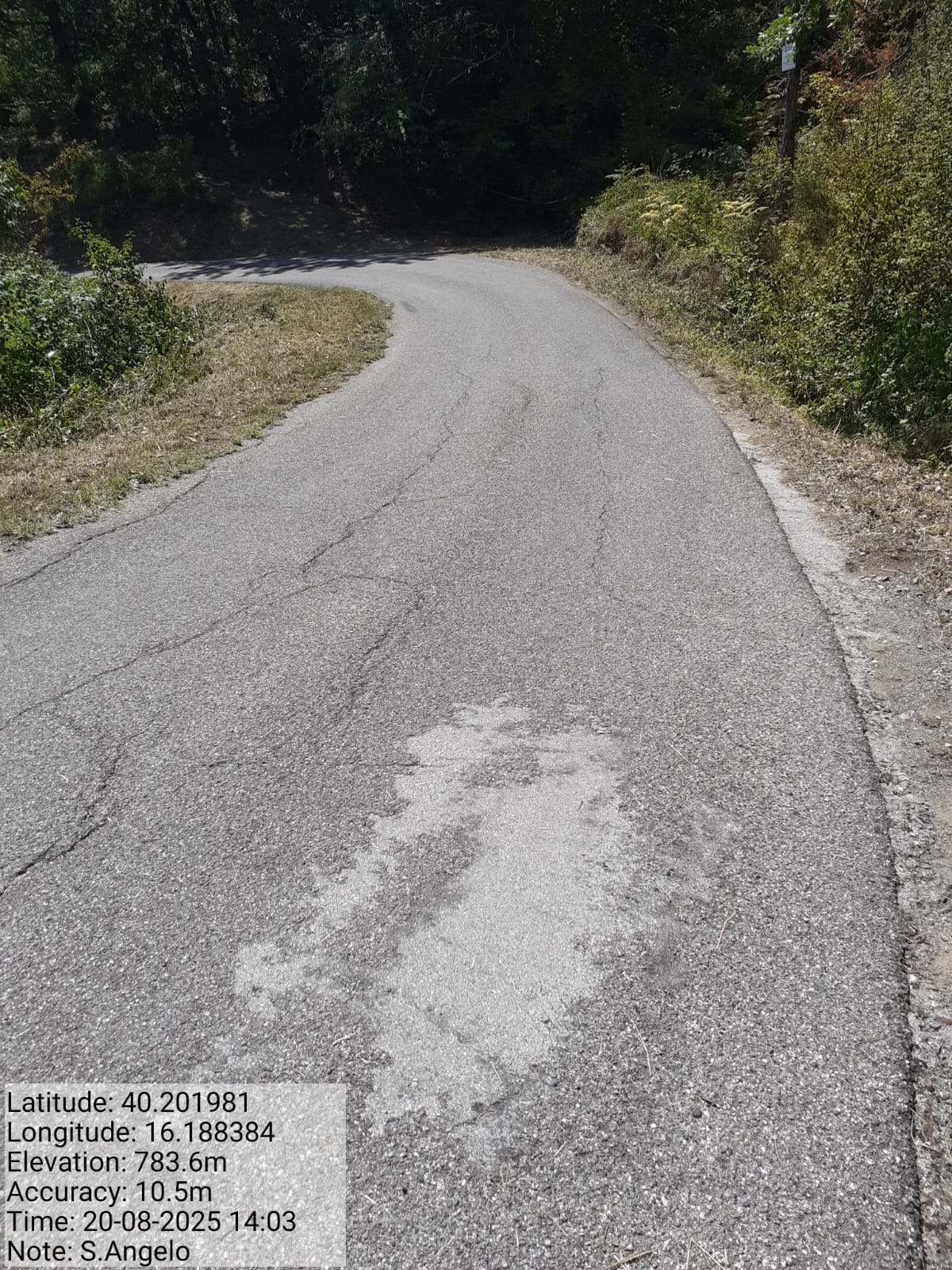 Galleria Fotografica Immagine