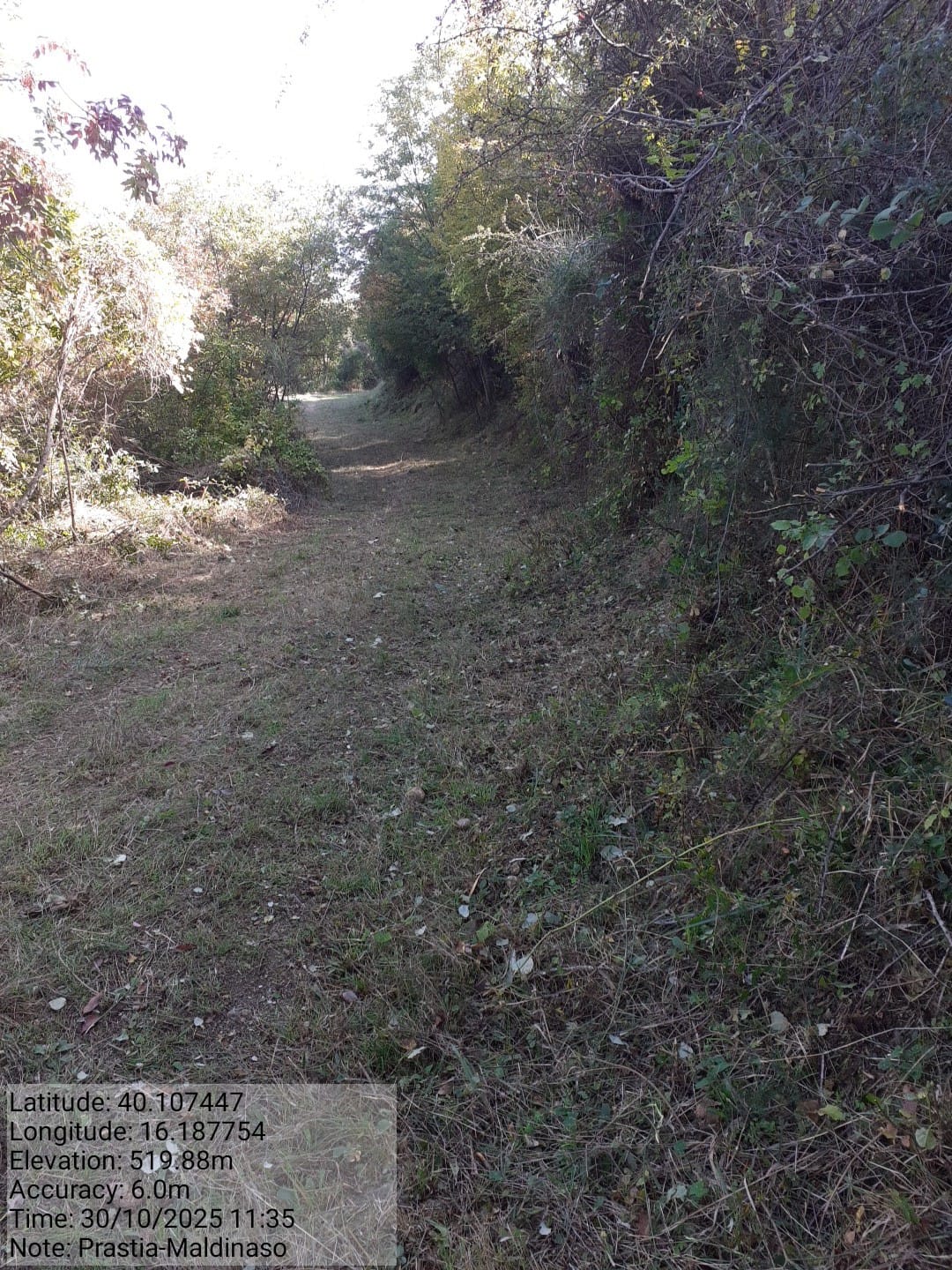 Galleria Fotografica Immagine