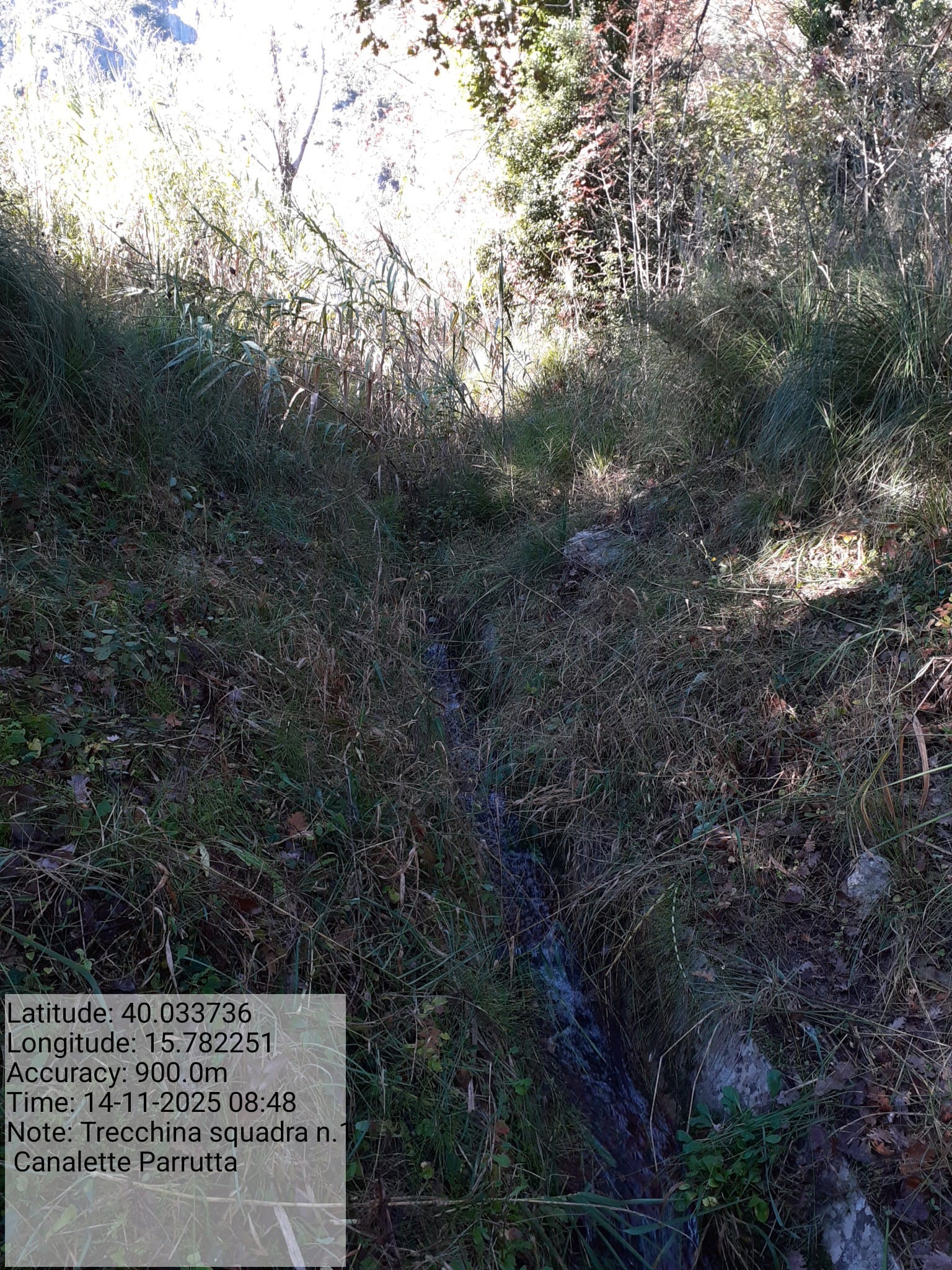 Galleria Fotografica Immagine