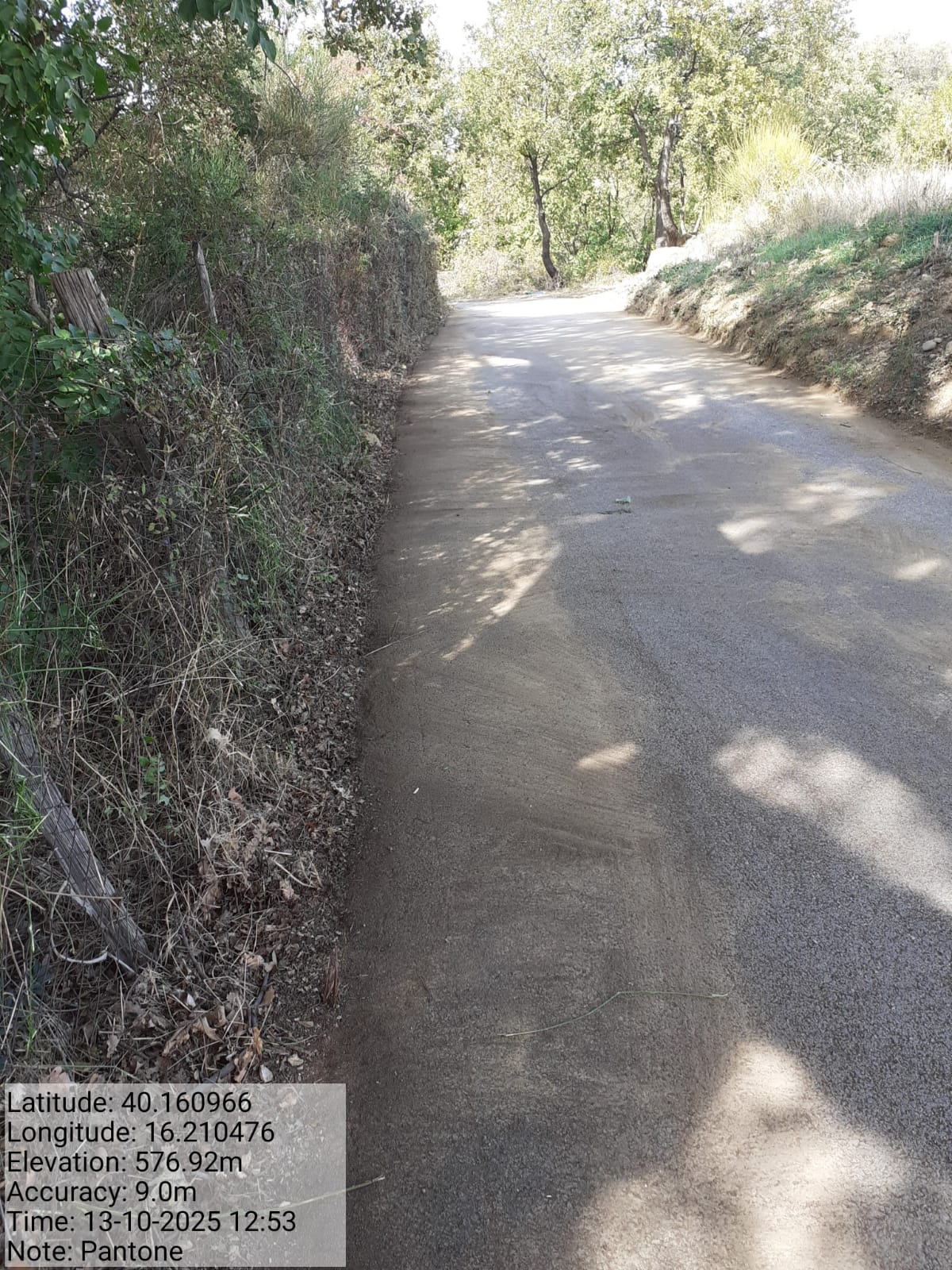 Galleria Fotografica Immagine