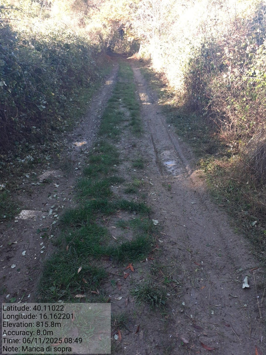 Galleria Fotografica Immagine