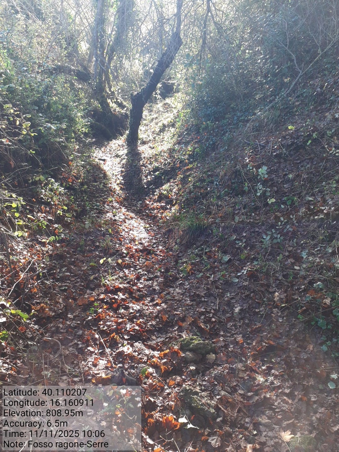 Galleria Fotografica Immagine