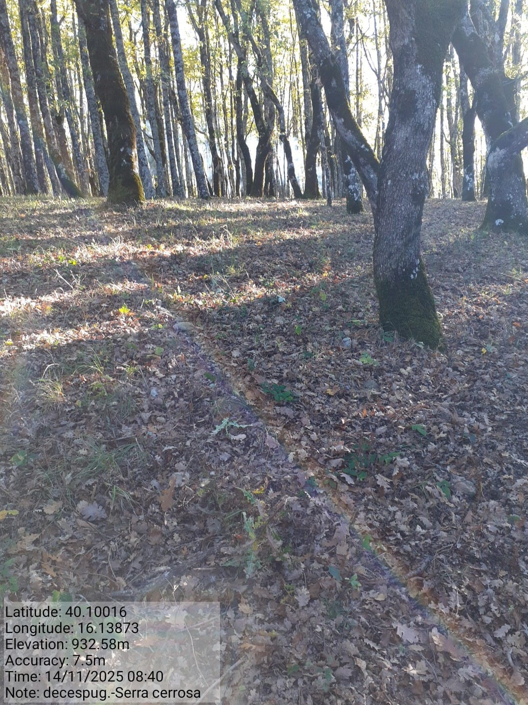 Galleria Fotografica Immagine