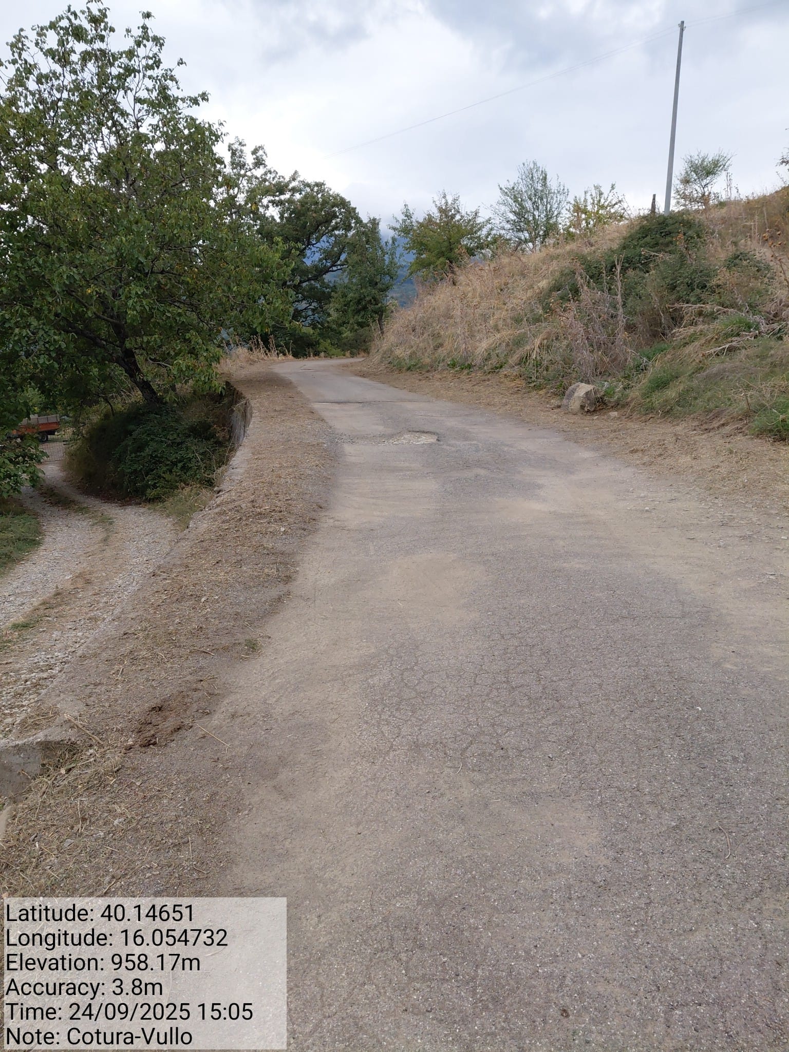 Galleria Fotografica Immagine