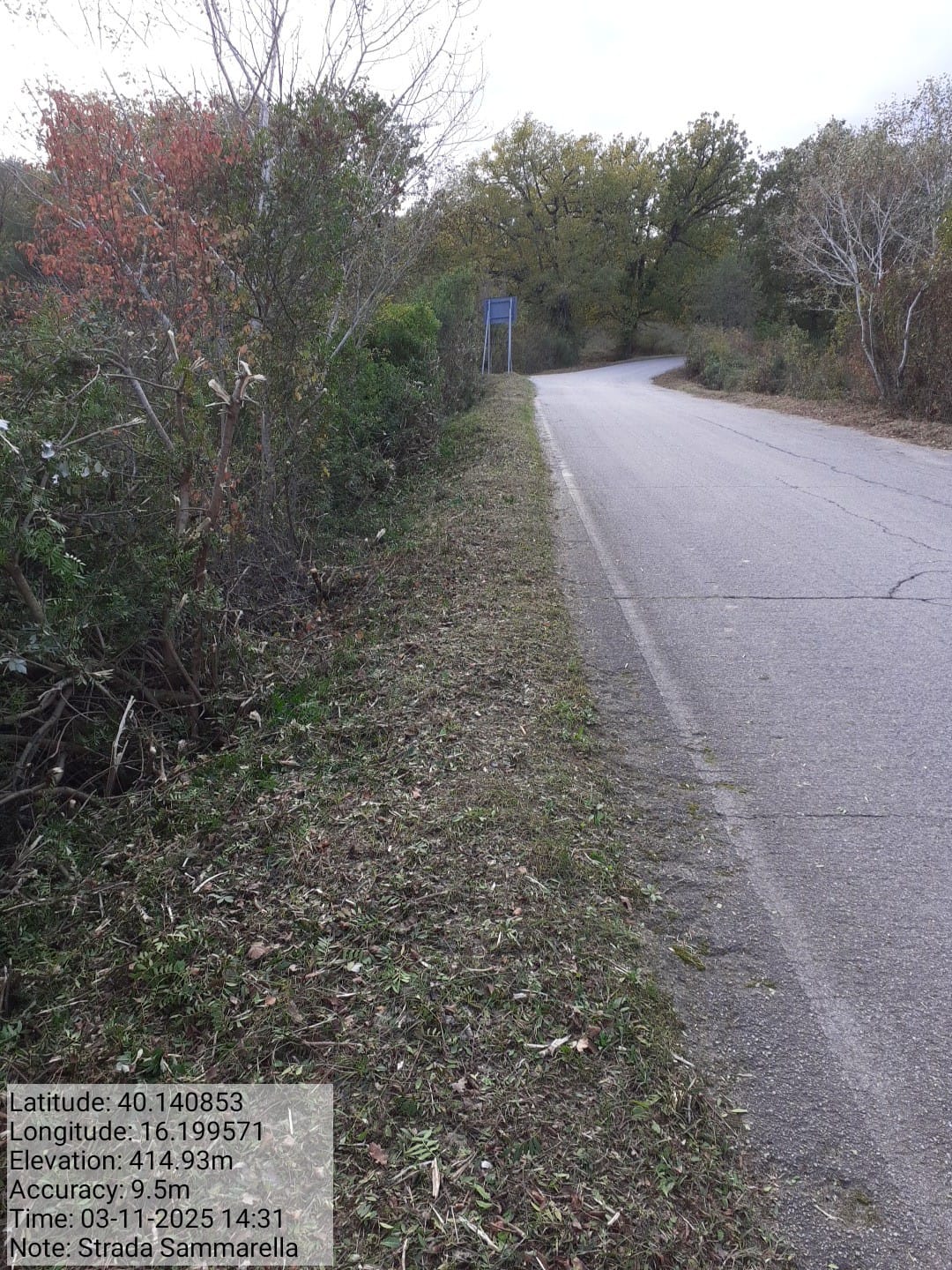 Galleria Fotografica Immagine