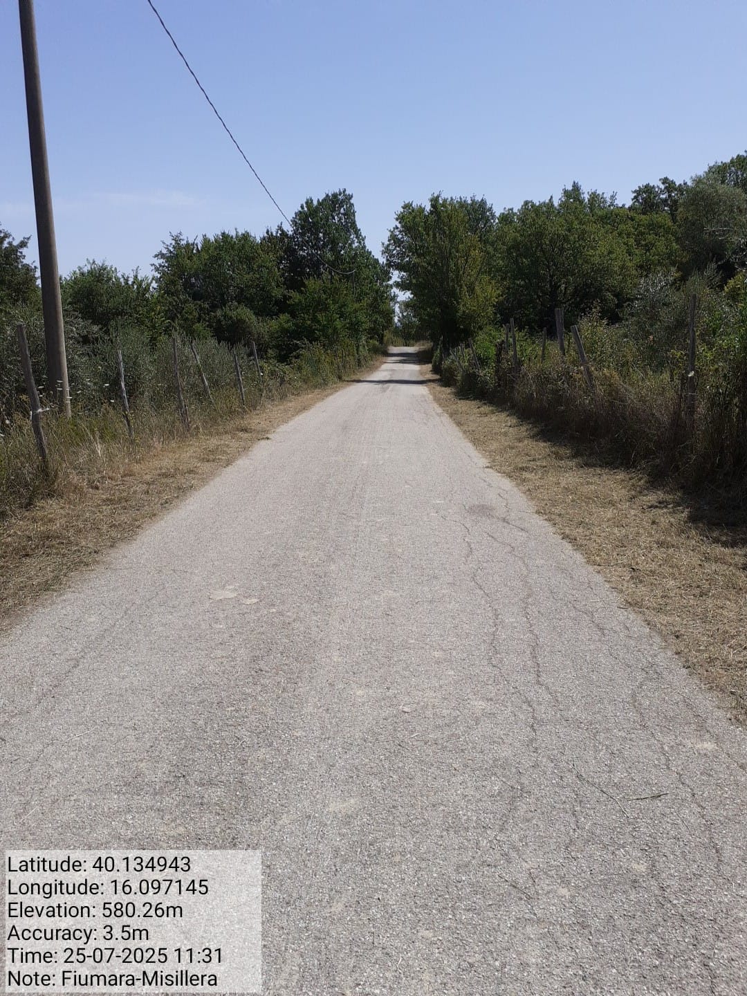 Galleria Fotografica Immagine