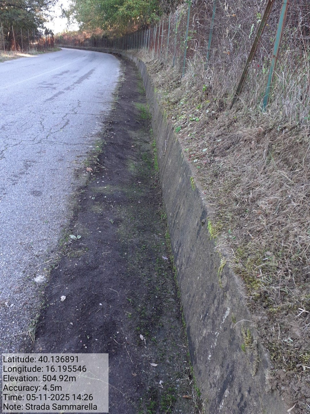 Galleria Fotografica Immagine