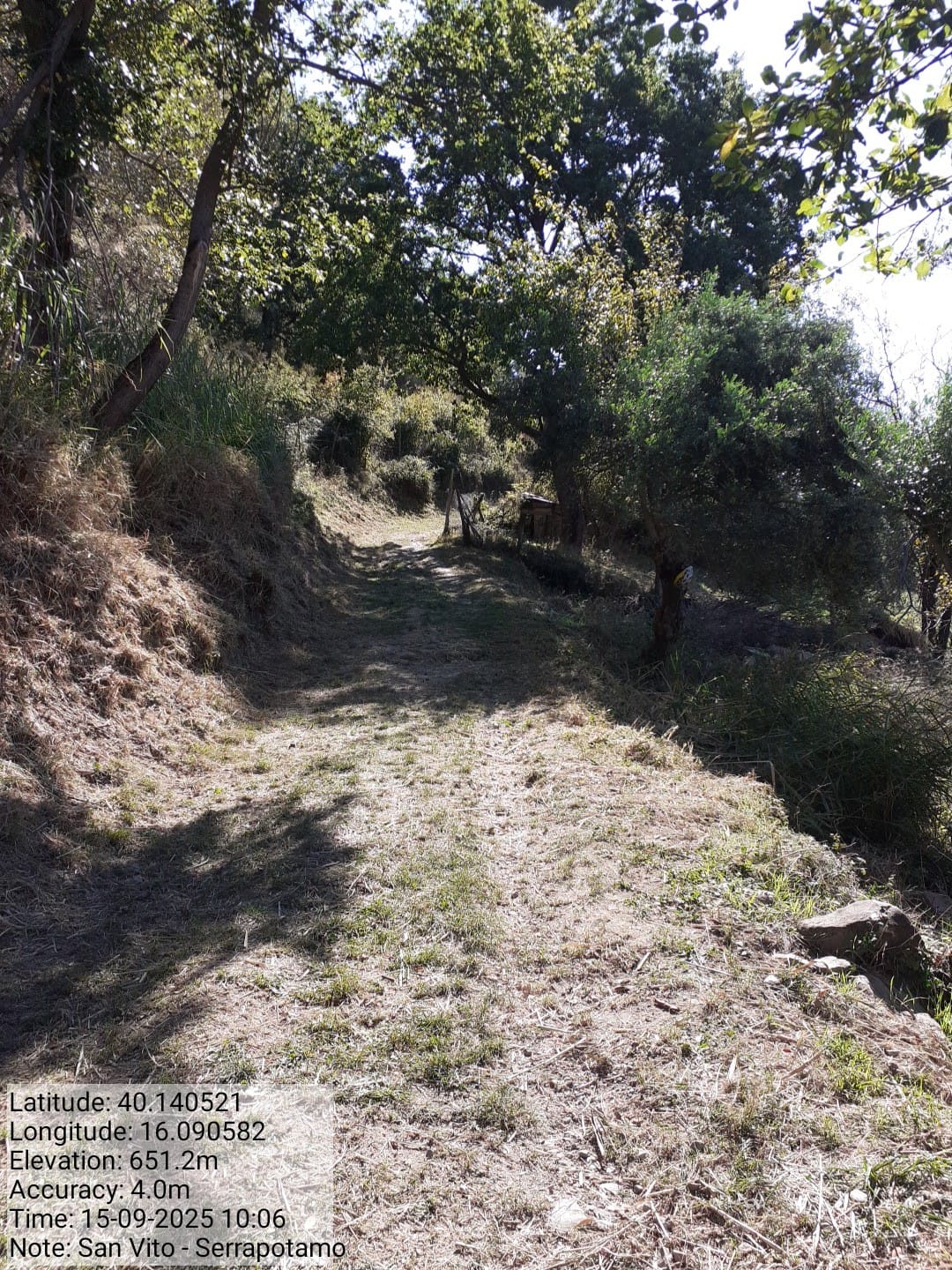 Galleria Fotografica Immagine