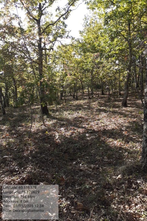 Galleria Fotografica Immagine