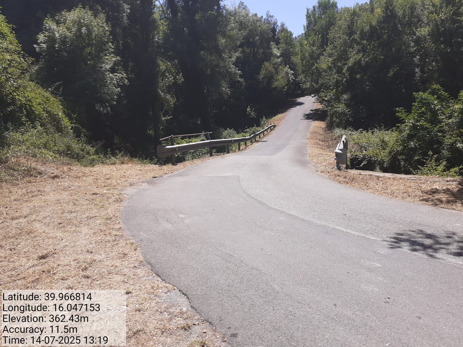 Galleria Fotografica Immagine