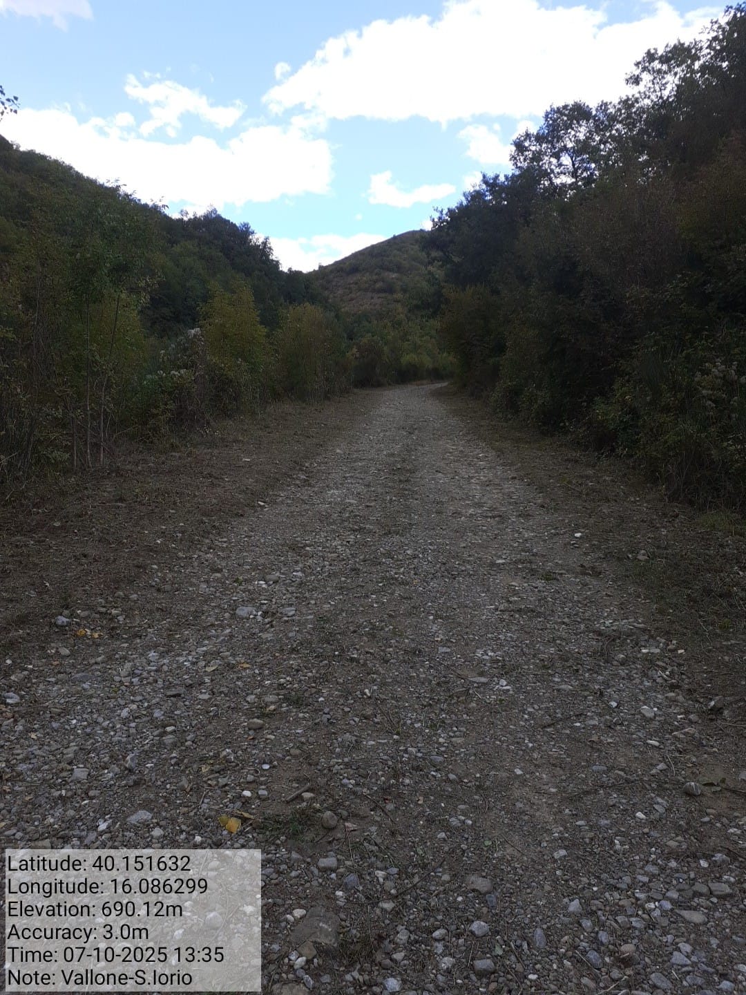 Galleria Fotografica Immagine