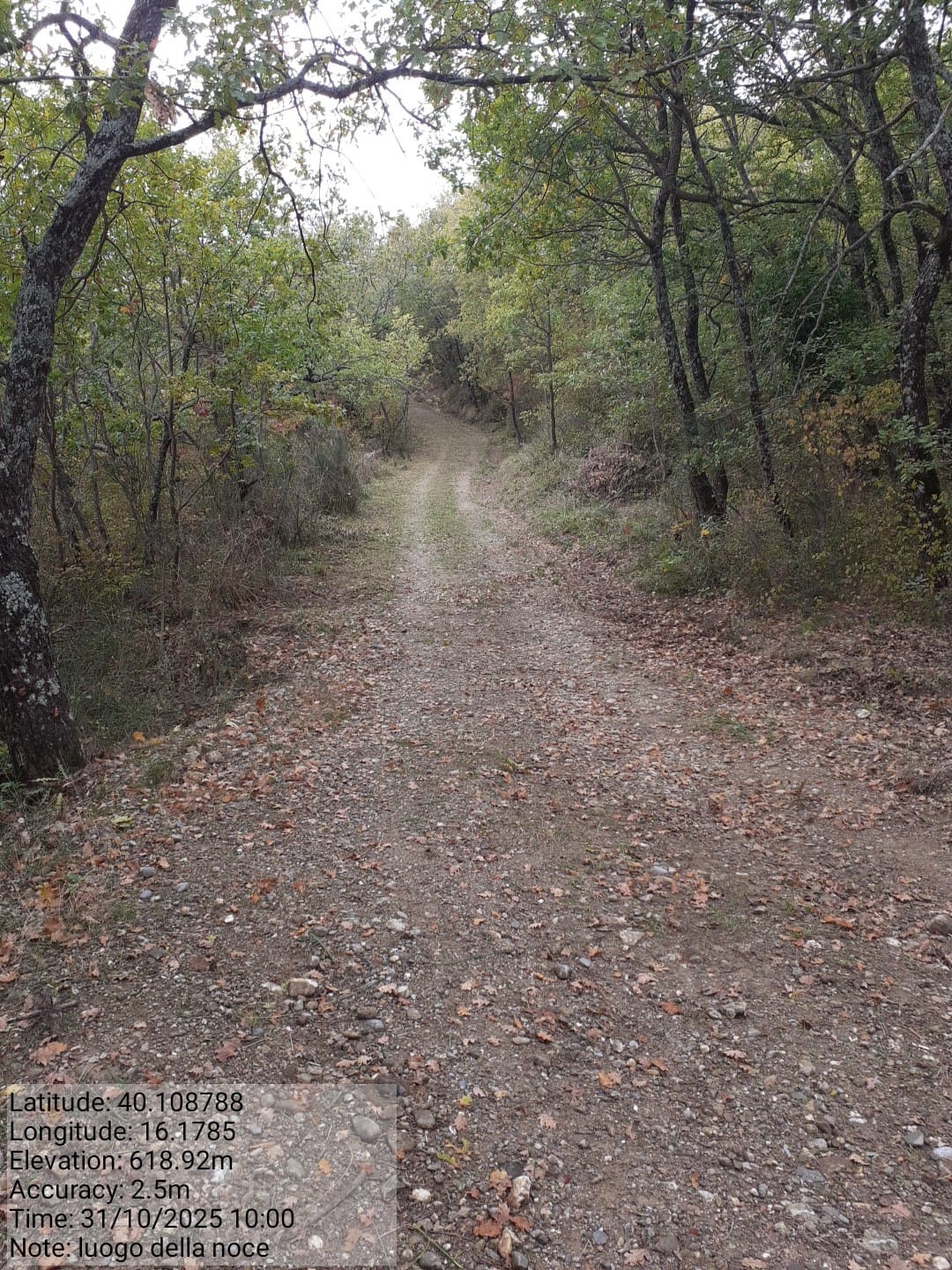 Galleria Fotografica Immagine