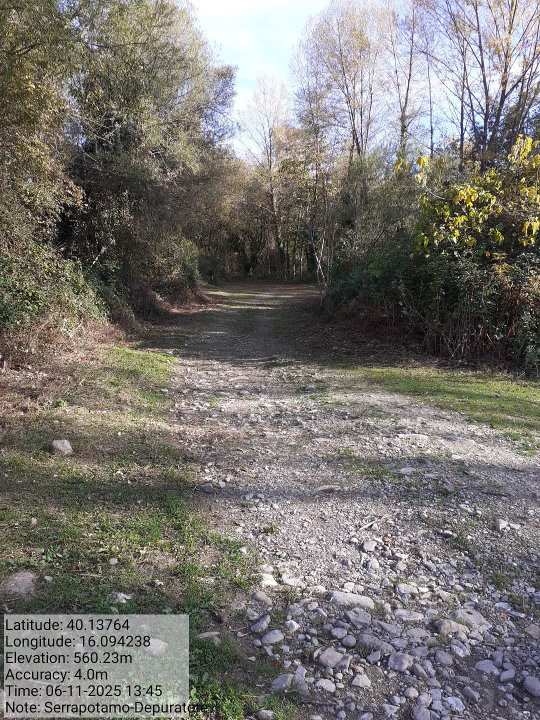 Galleria Fotografica Immagine