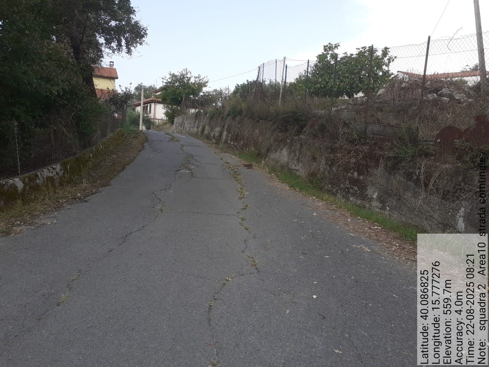 Galleria Fotografica Immagine