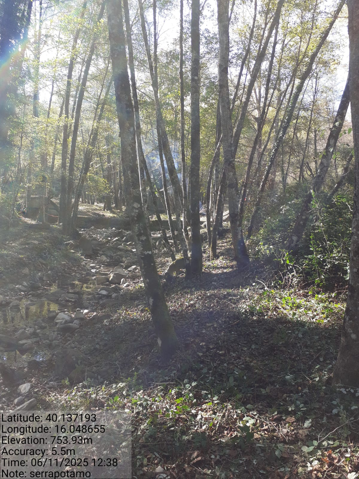 Galleria Fotografica Immagine