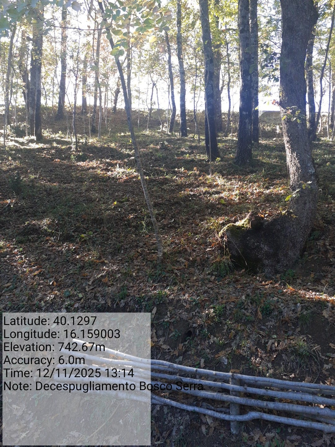 Galleria Fotografica Immagine