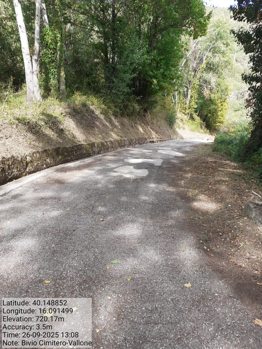 Galleria Fotografica Immagine