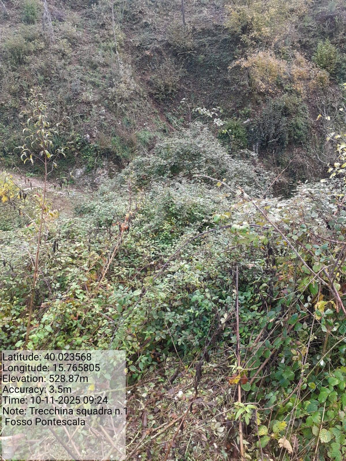 Galleria Fotografica Immagine