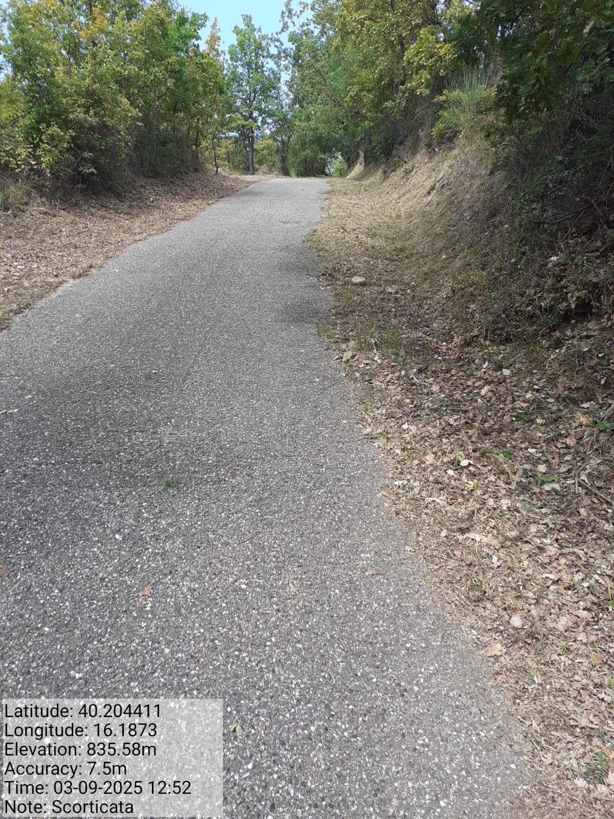 Galleria Fotografica Immagine