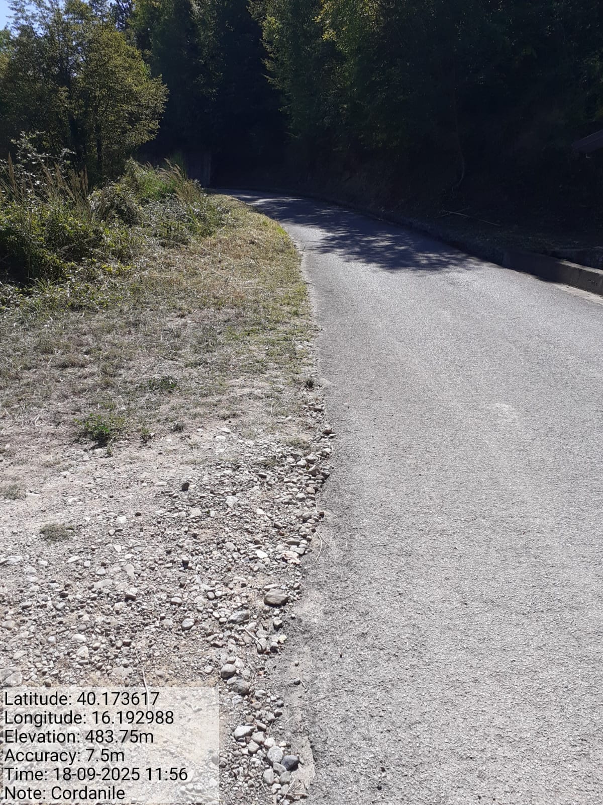 Galleria Fotografica Immagine