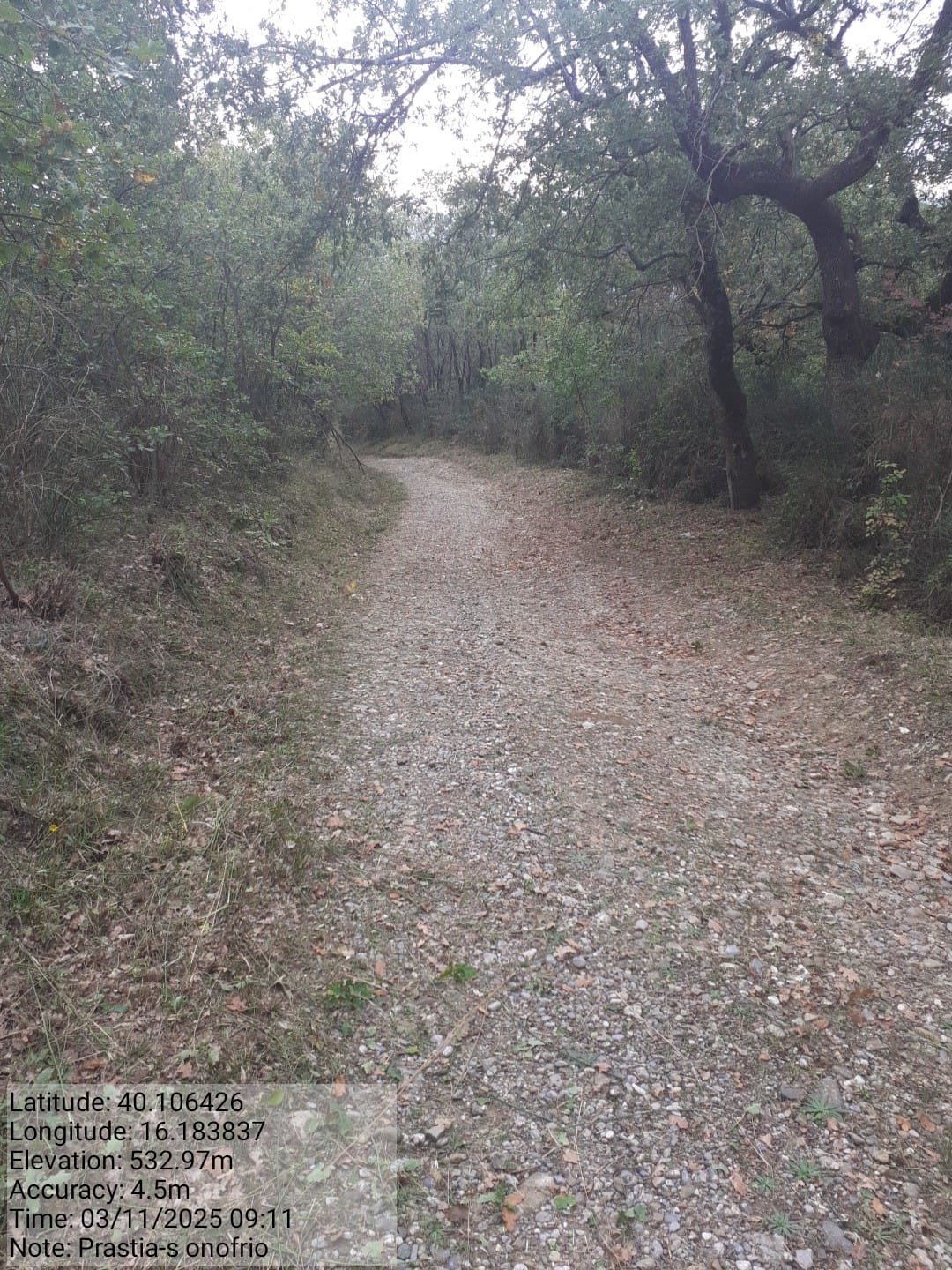 Galleria Fotografica Immagine