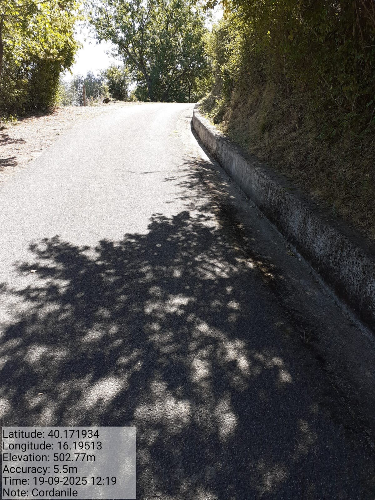 Galleria Fotografica Immagine