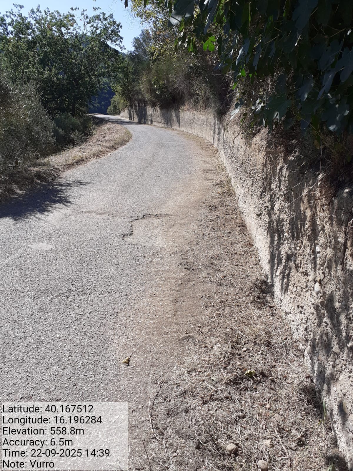 Galleria Fotografica Immagine