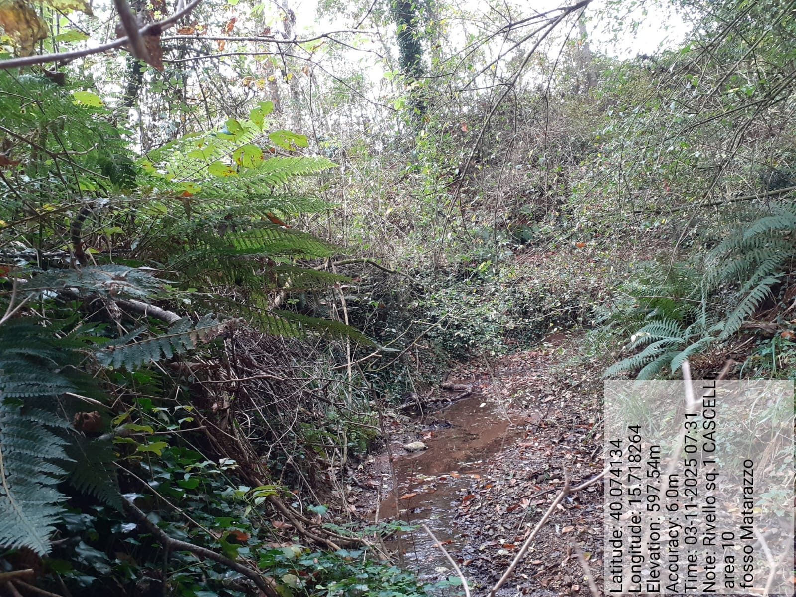 Galleria Fotografica Immagine