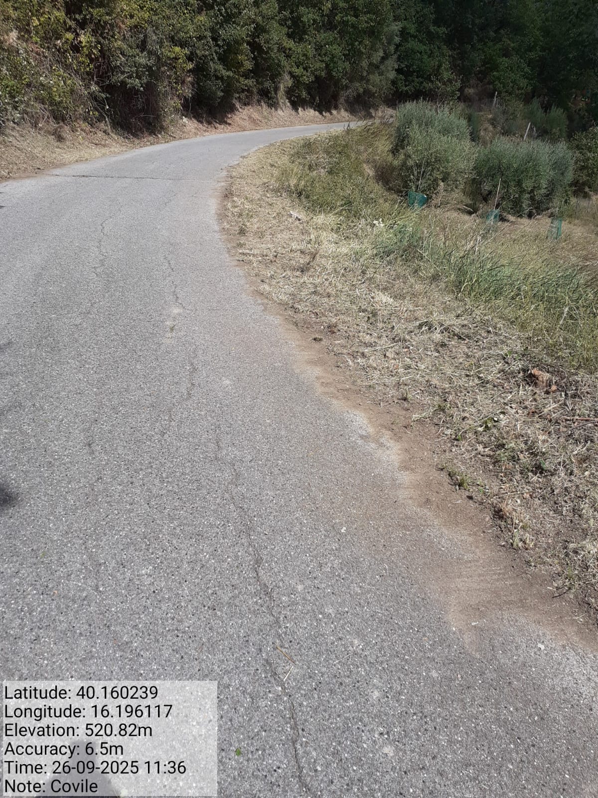 Galleria Fotografica Immagine