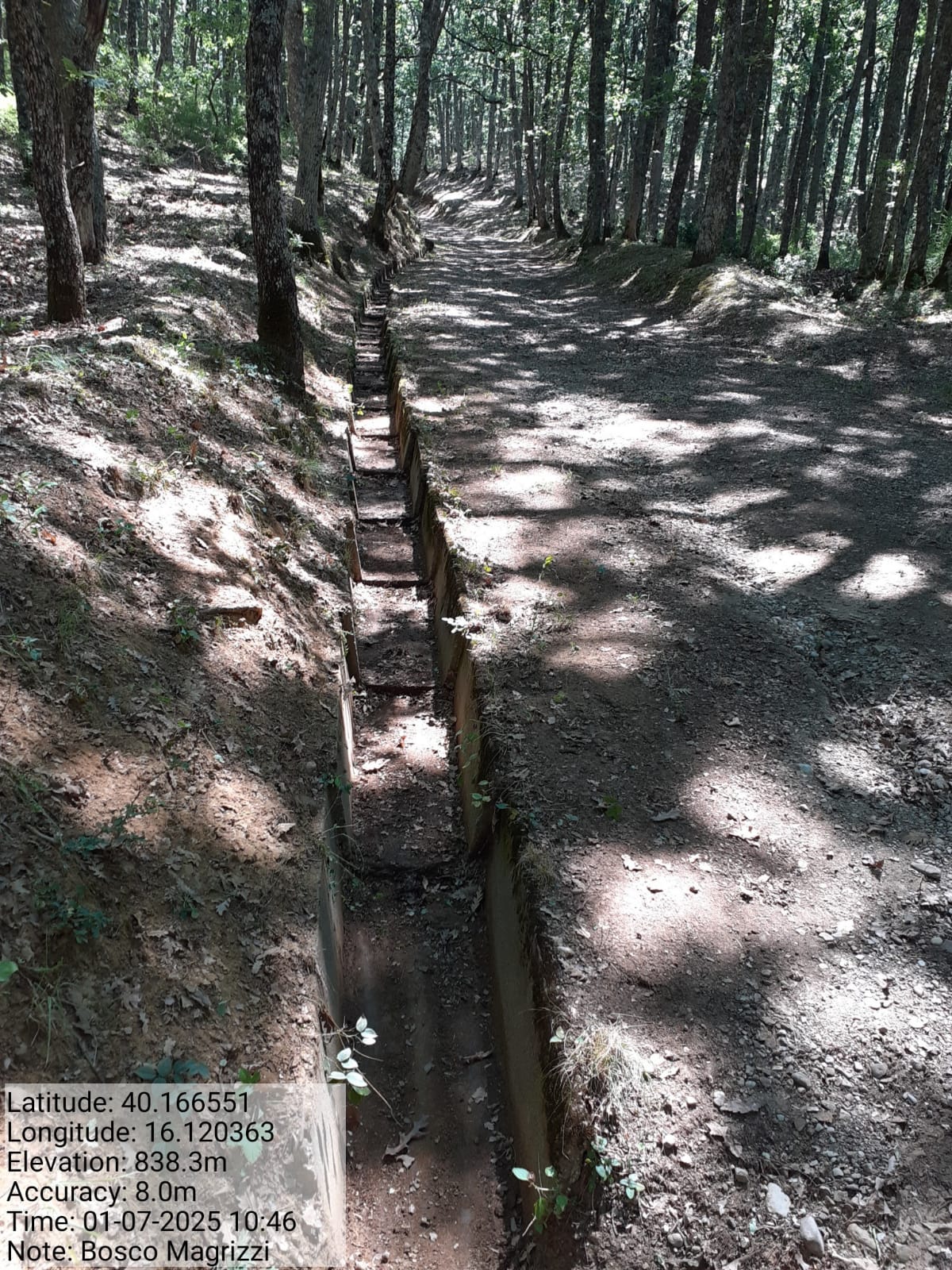 Galleria Fotografica Immagine